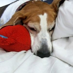 Meet your Posher, Jay